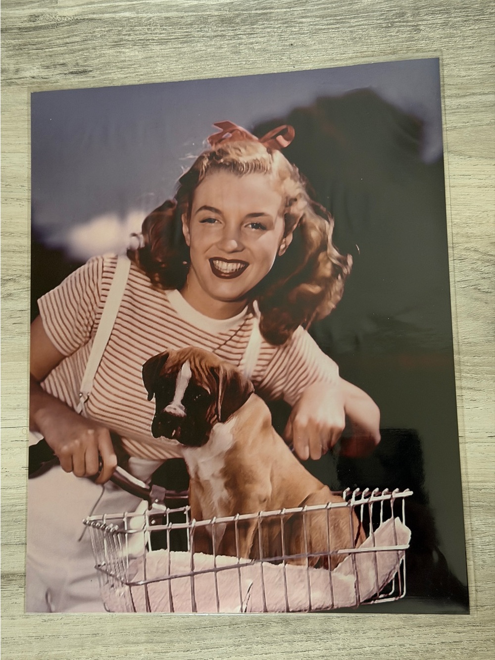 Young Marilyn Monroe with Puppy Color Photo 8x10
